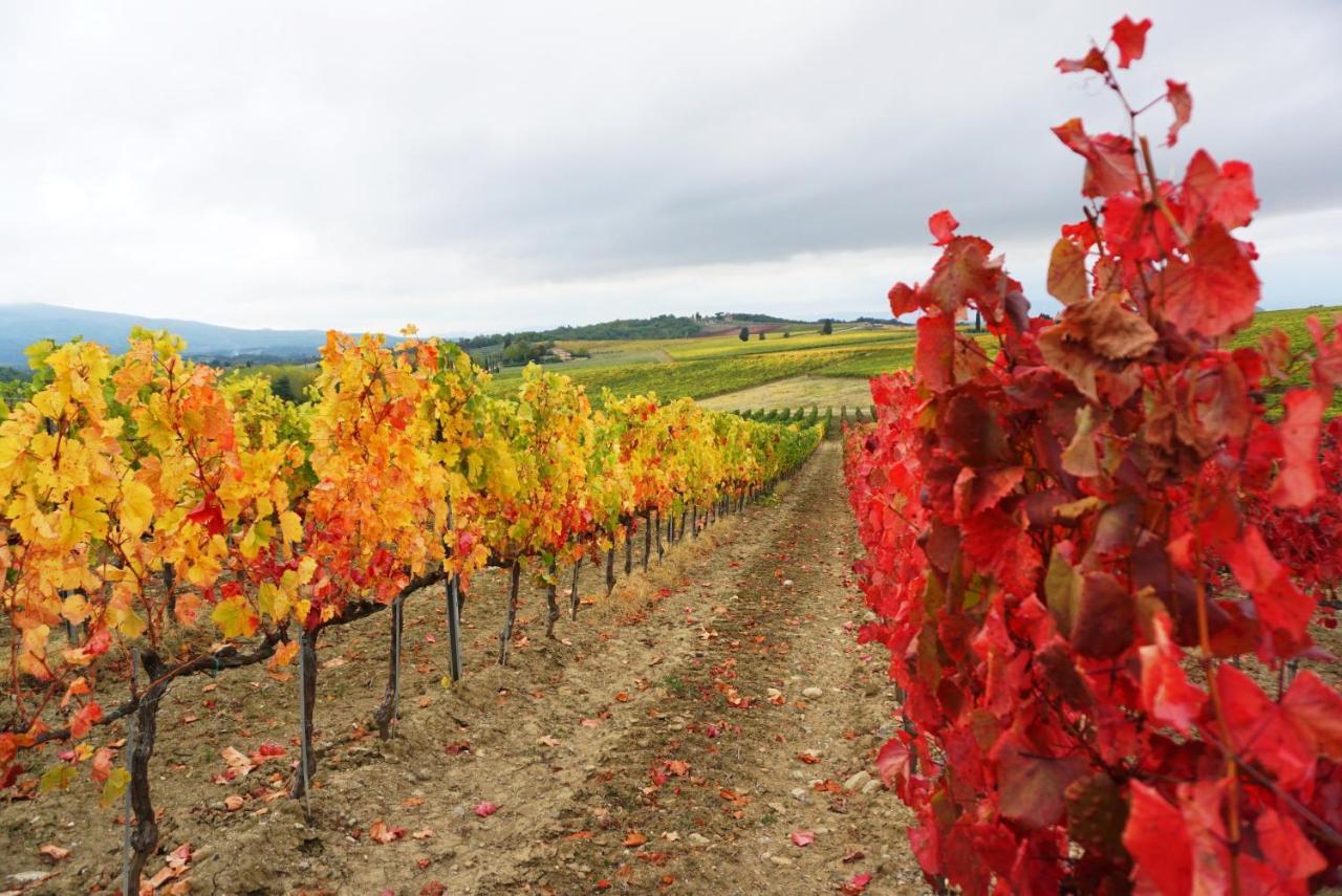 הוילה מונטריג'יוני Fattoria Lornano Winery מראה חיצוני תמונה
