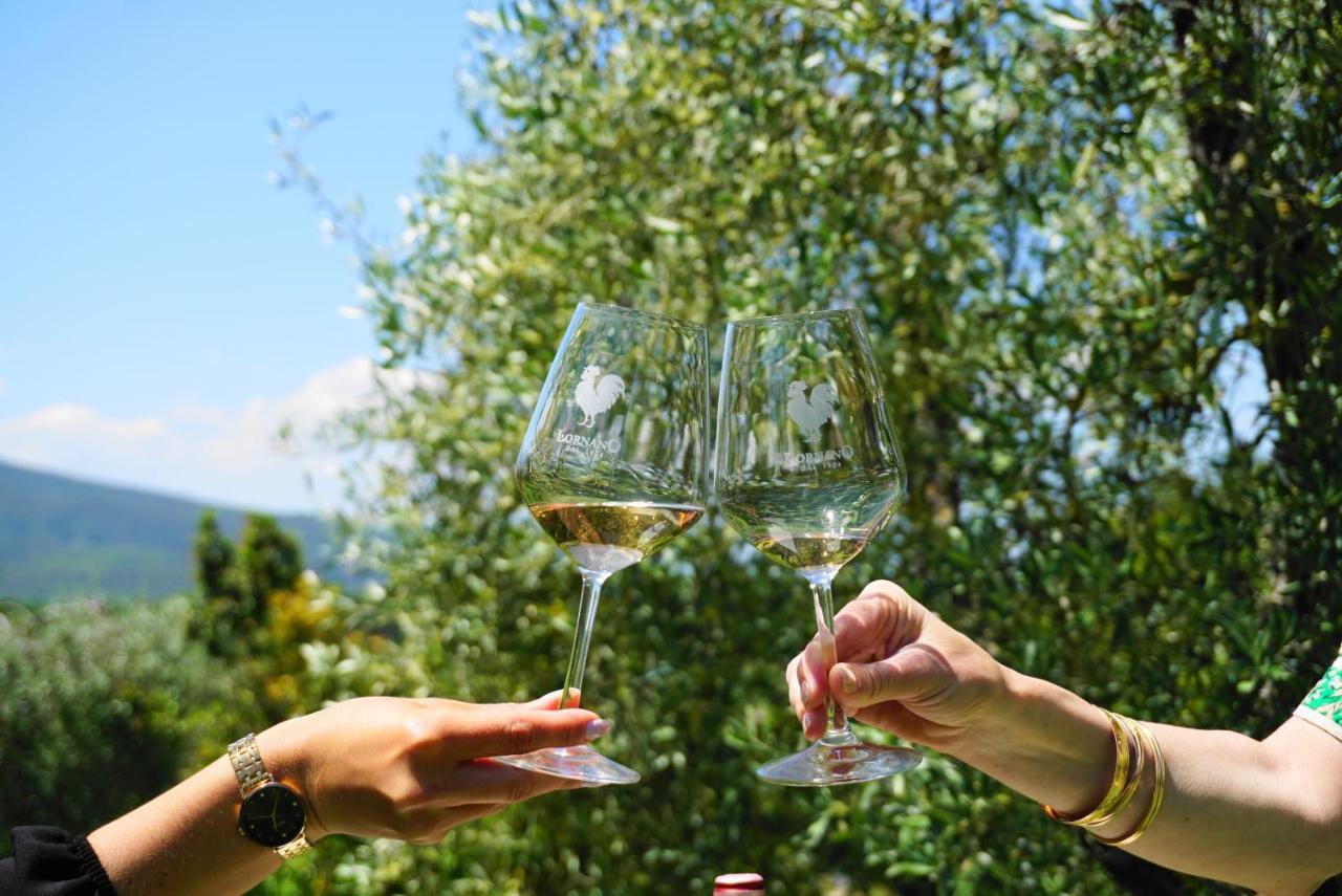 הוילה מונטריג'יוני Fattoria Lornano Winery מראה חיצוני תמונה