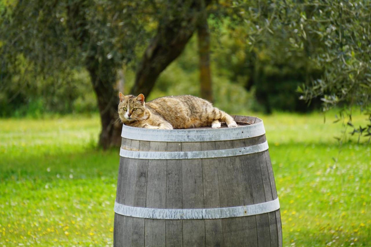 הוילה מונטריג'יוני Fattoria Lornano Winery מראה חיצוני תמונה